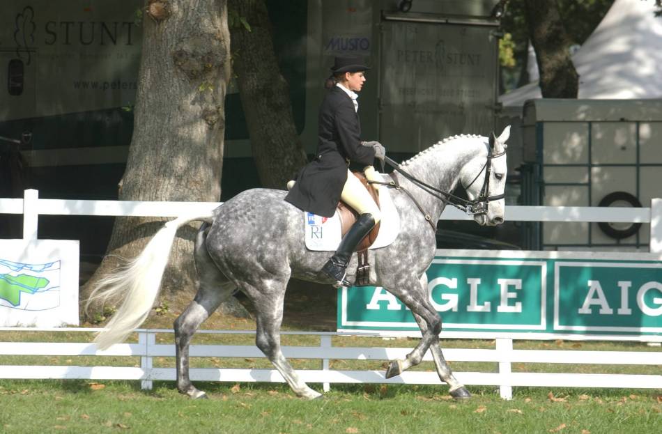 Mondial du Lion dressage