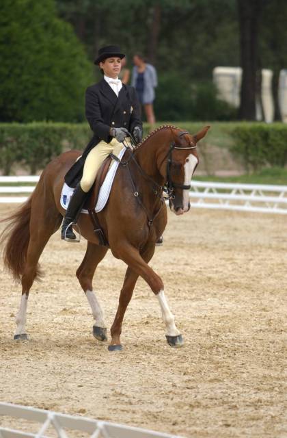 Dressage